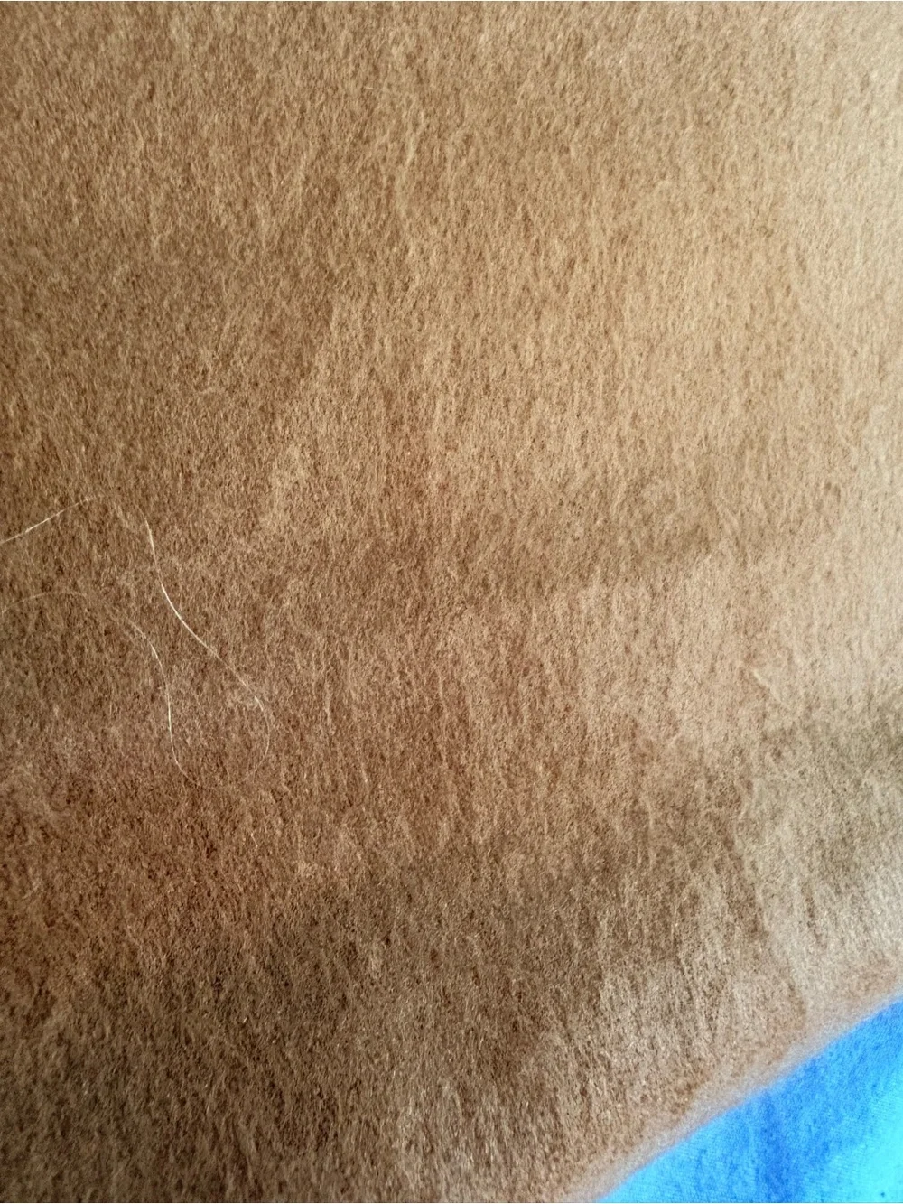 Christian Dior Cashmaire Scarf por Homme Camel Tan
